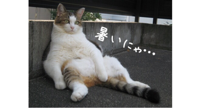 夏もむくむ！？（汗）