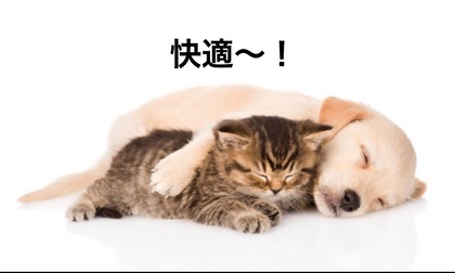 新メニューできたよ☆