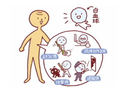 免疫力アップってどうするの？