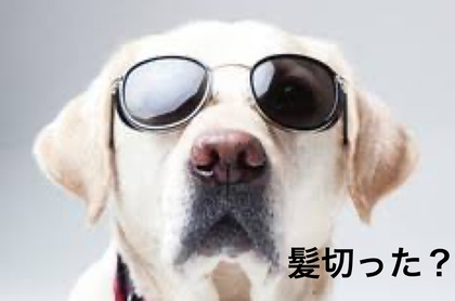 26.かっこよくなりたい
