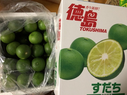 わが家に【すだち】がキター♪